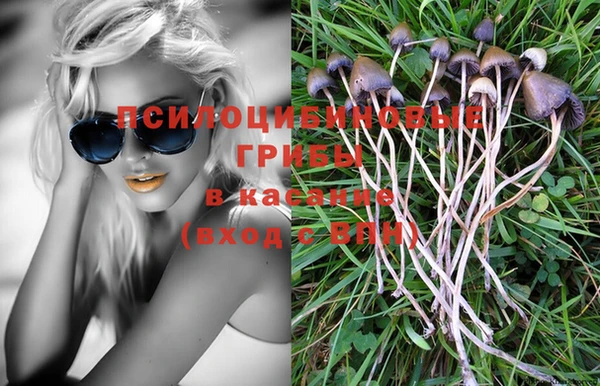 молекула духа Алексеевка