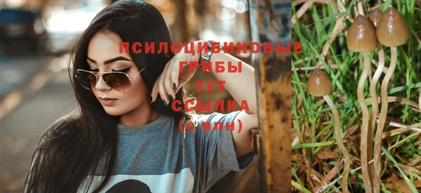 молекула духа Абдулино